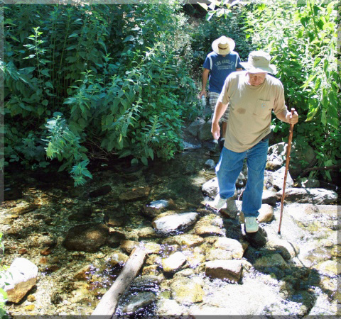 Sturtevant Falls
